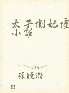 太子侧妃傻乎乎小说