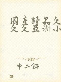 国产精品久久久久久亚洲小说