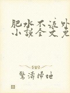 肥水不流外人田小说全文免费阅读1