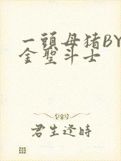 一头母猪BY黄金圣斗士