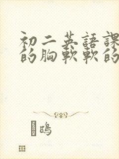 初二英语课代表的胸软软的