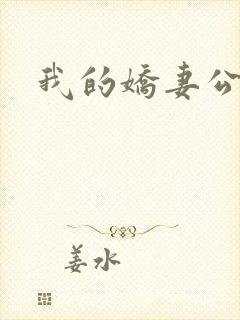 我的娇妻公务员