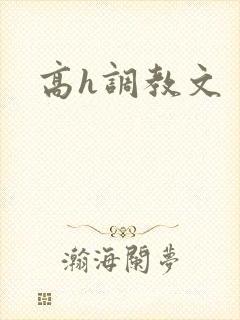 高h调教文