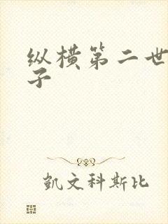 纵横第二世界宽子