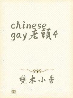 chinesegay老头4