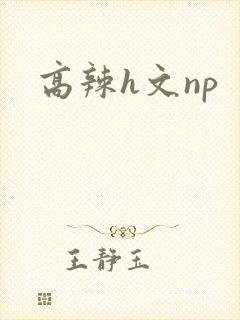 高辣h文np
