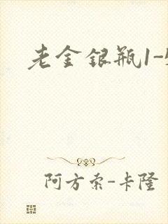 老金银瓶1-5