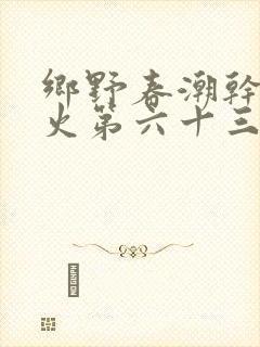 乡野春潮干柴烈火第六十三章