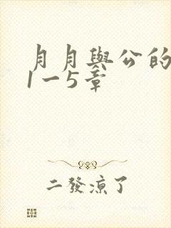 月月与公的激情1一5章