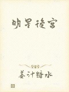 明星后宫
