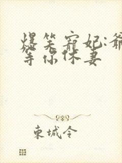 爆笑宠妃:爷我等你休妻