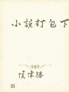 小说打包下载