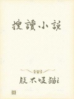搜读小说
