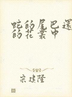 蛇的尾巴还在我的花丛中