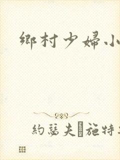 乡村少妇小说