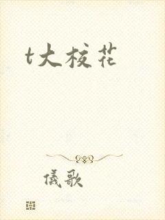 t大校花