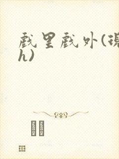 戏里戏外(现场h)