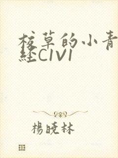 校草的小青梅不经C1V1