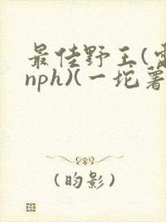 最佳野王(电竞nph)(一坨薯饼)