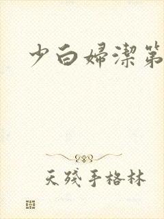 少白妇洁第二部