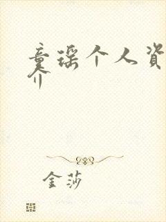 童瑶个人资料简介