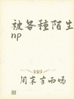 被各种陌生人 np