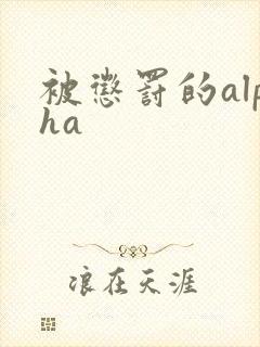 被惩罚的alpha