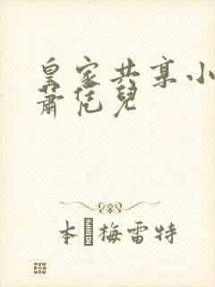 皇家共享小公主萧凭儿