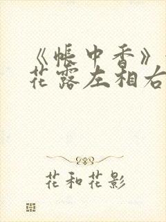 《帐中香》金银花露左相右相