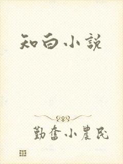 知白小说