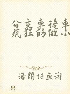 公交车后车座的疯狂的做小