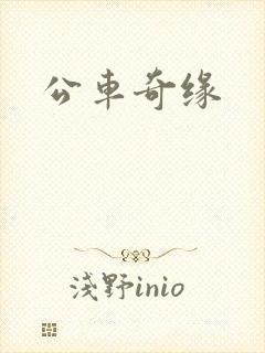 公车奇缘