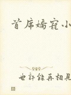 首席娇宠小情人