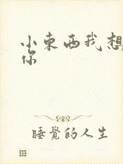 小东西我想弄坏你