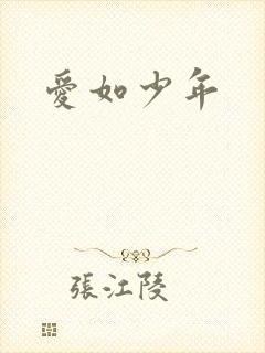 爱如少年