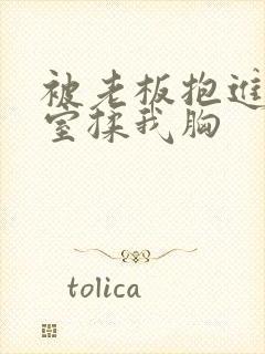 被老板抱进办公室揉我胸