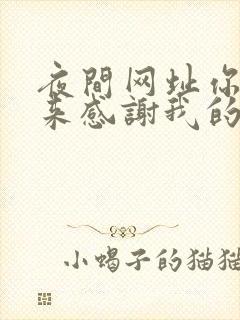 夜间网址你会回来感谢我的