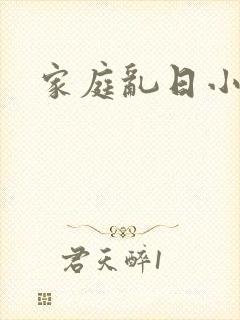 家庭乱日小说