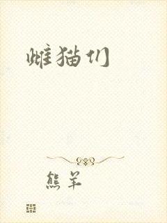 雌猫们