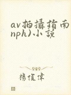 av拍摄指南(nph)小说