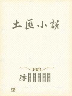 土匪小说