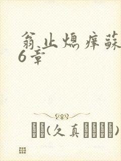 翁止熄痒苏玥第6章