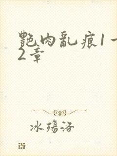 艳肉乱痕1一12章