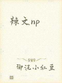 辣文np