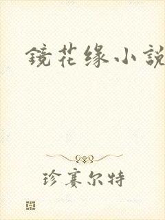镜花缘小说
