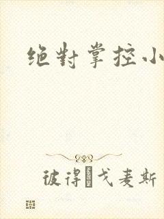 绝对掌控小说