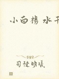 小白杨 水千丞