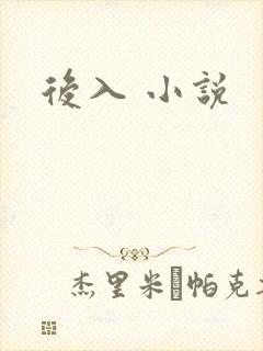 后入 小说