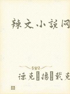 辣文小说网
