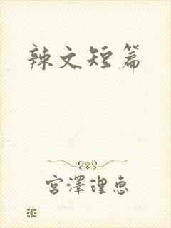 辣文短篇